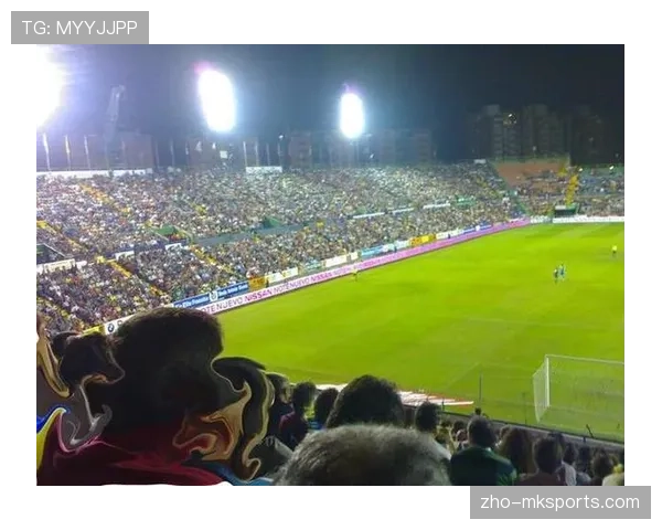 瓦伦西亚球场扩建计划获批 预计将长期提升西甲主场营收能力